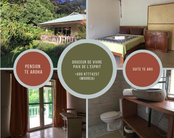 Maatea Pension Te Aroha - Te Arii מראה חיצוני תמונה
